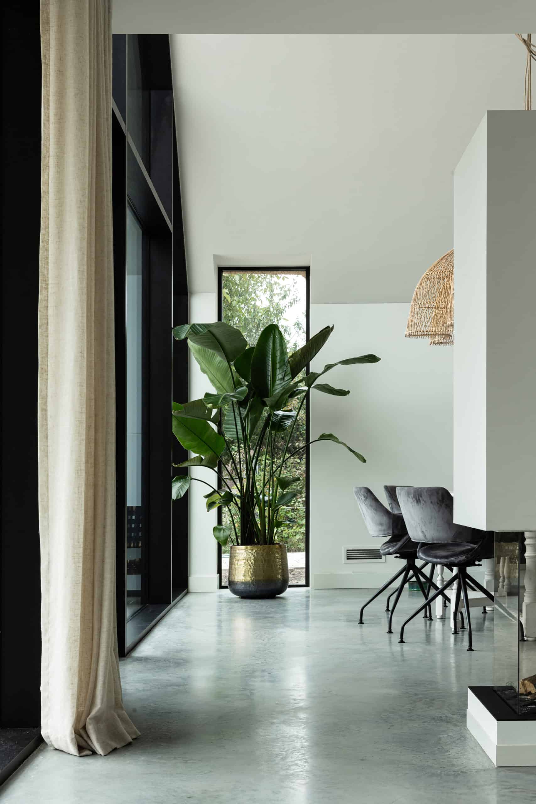 Gevlinderde betonvloer van Willem Designvloeren in Nuenen met hierop een eettafel en eettafelstoelen. Ook staat er een grote plant op de vloer.