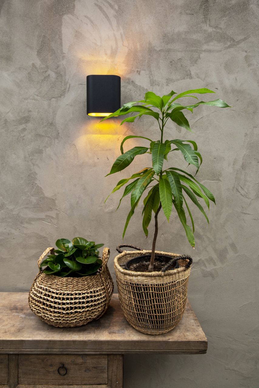 Kleiwanden van American Clay met robuuste structuur in een poolhouse in Cuijk.