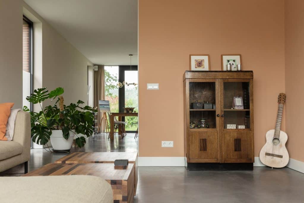 Woonkamer in Woudenberg met een gevlinderde betonvloer en een witte en een oranje wand. Hier staat ook een houten kast en ernaast een gitaar. Ook staat er een grijs-groene bank met hiervoor houten bijzettafels en een grote plant in een witte bak.