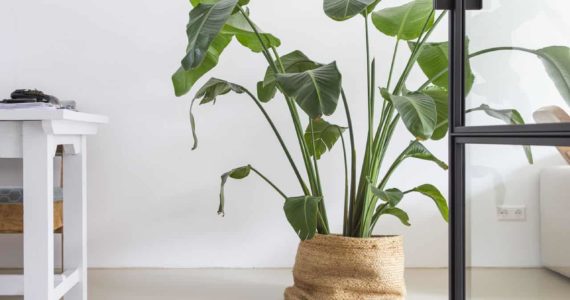 PU gietvloer van Willem Designvloeren in een beige kleur in Zeist.